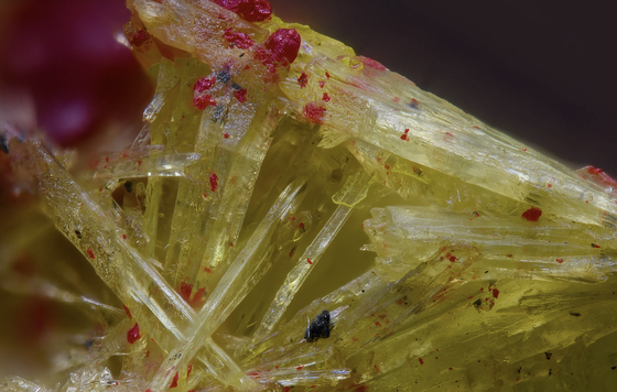 Macro photograph of yellow carpathite crystals with red cinnabar